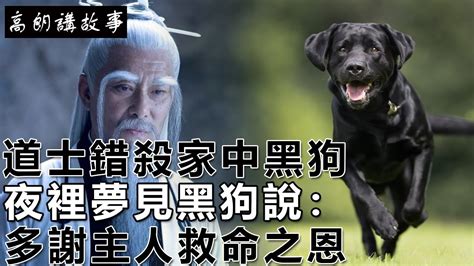 夢見黑狗|夢見黑狗